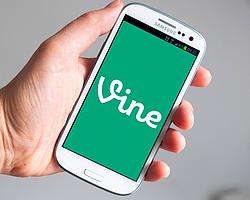 vine